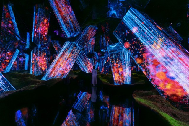 Teamlab Work Universe of Existence, Universe of Perception: teamLab Biovortex Kyoto ...